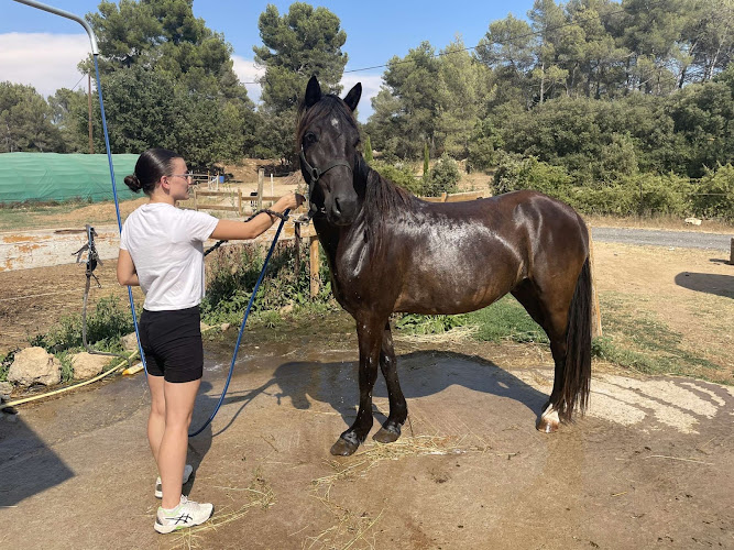 Hors'itting Provence