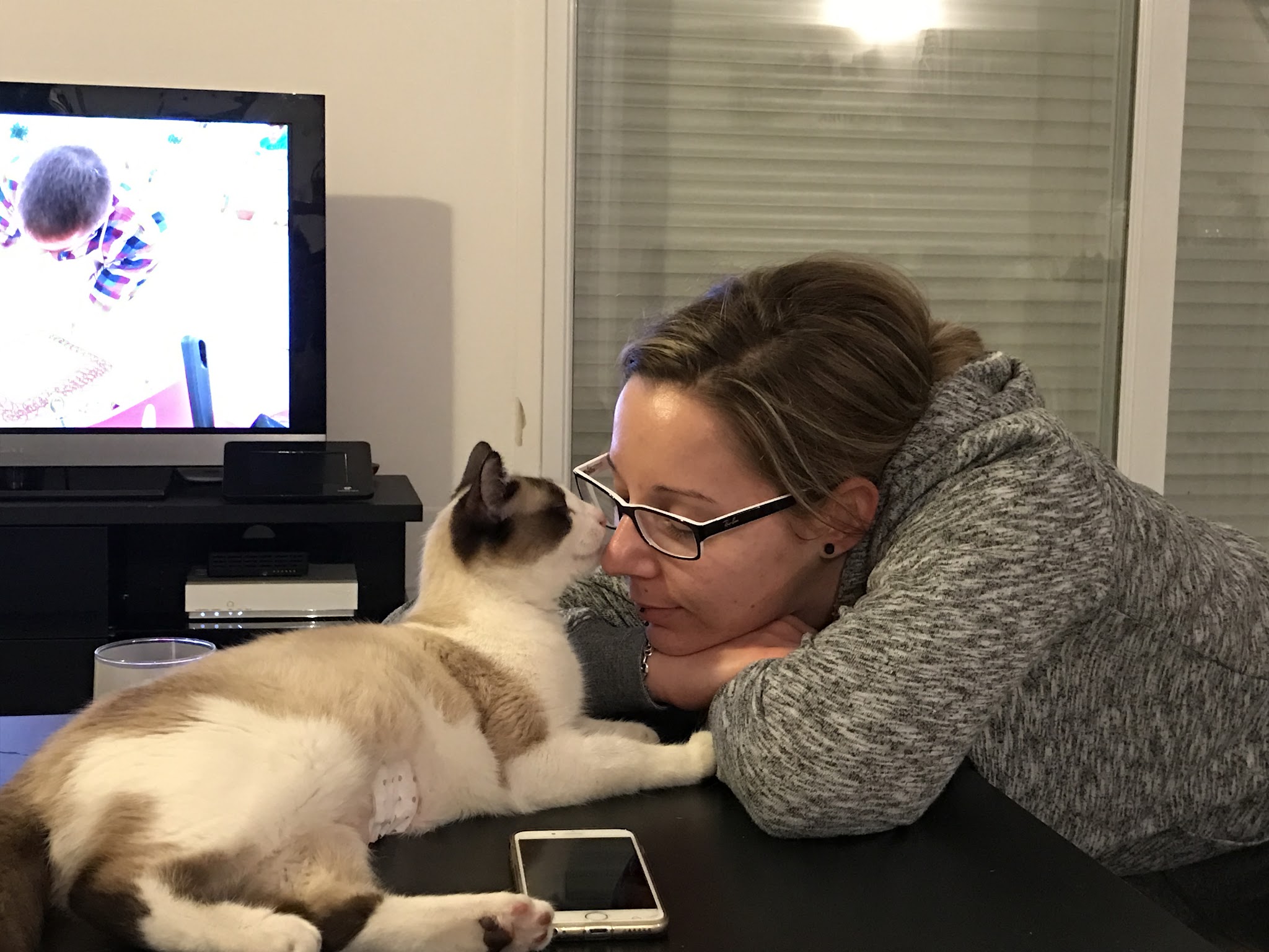 O’Coussinets | Garde d’Animaux à domicile | Pet-Sitter | à Courhezon | Vaucluse — photo