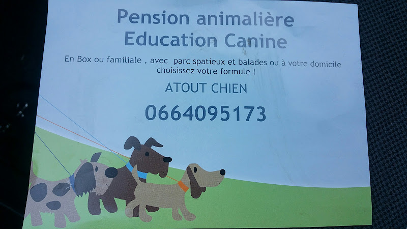 Atout chien