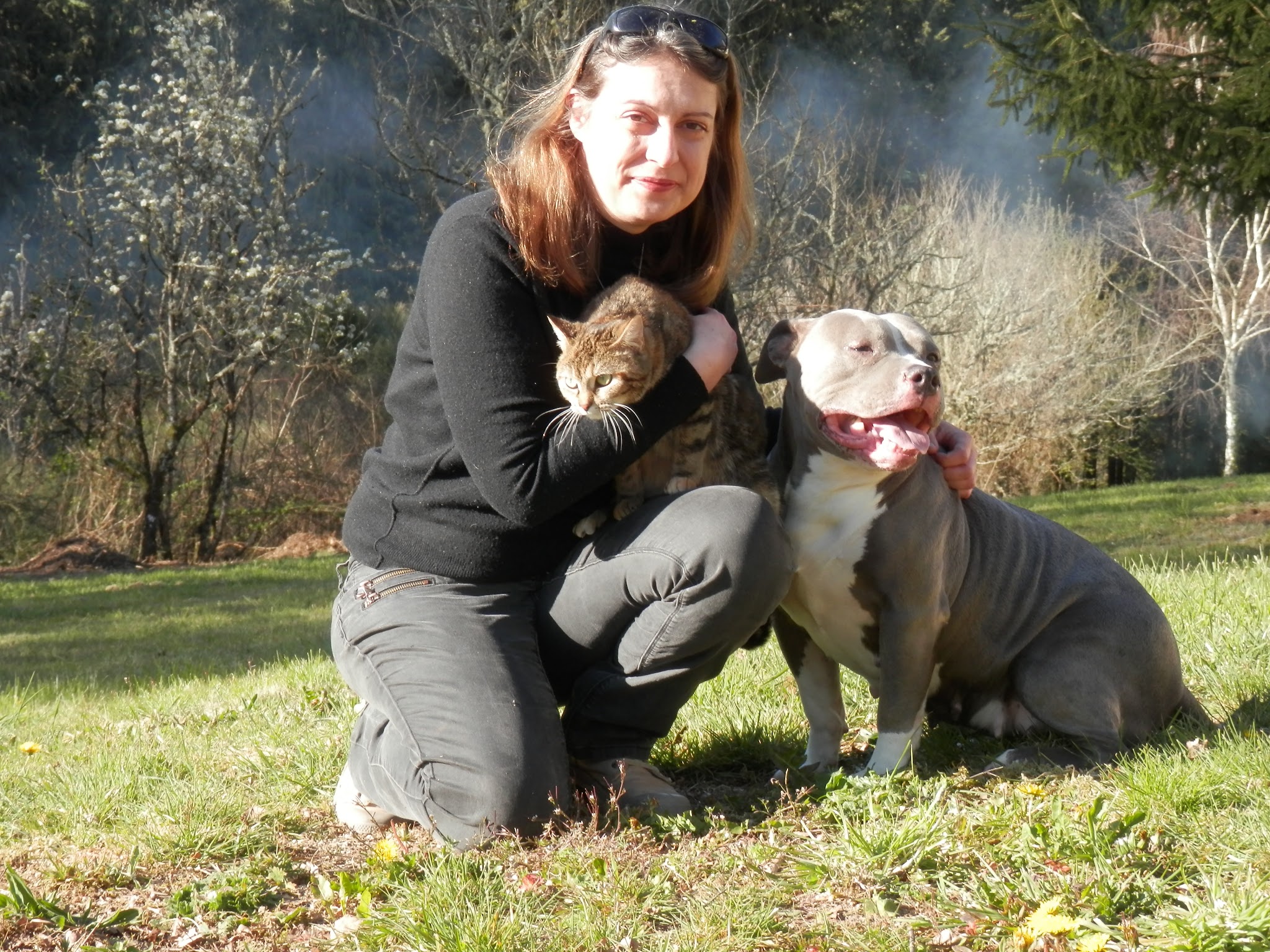 Animaux Garderie 87 — photo