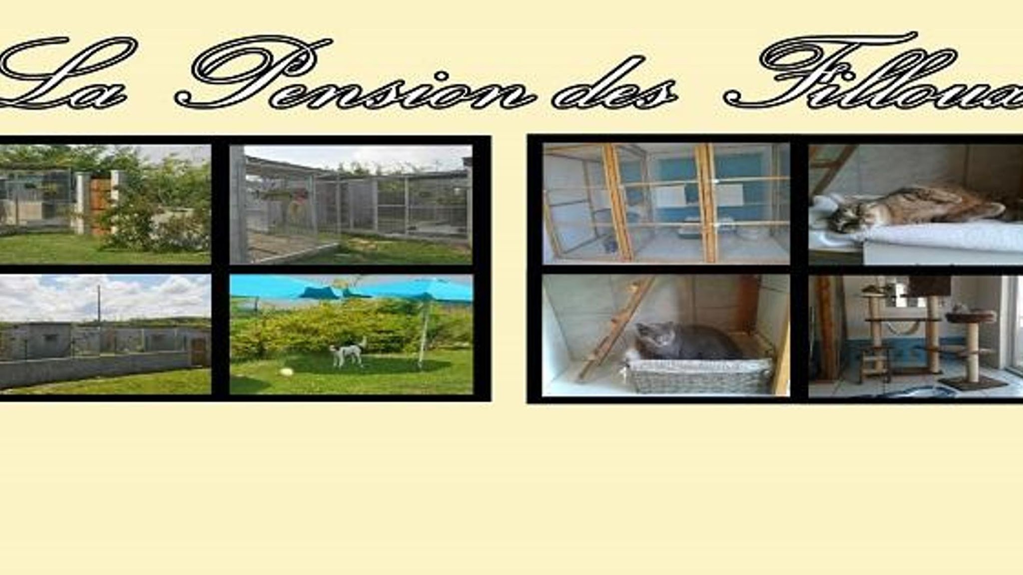 Pension Des Filloux — photo