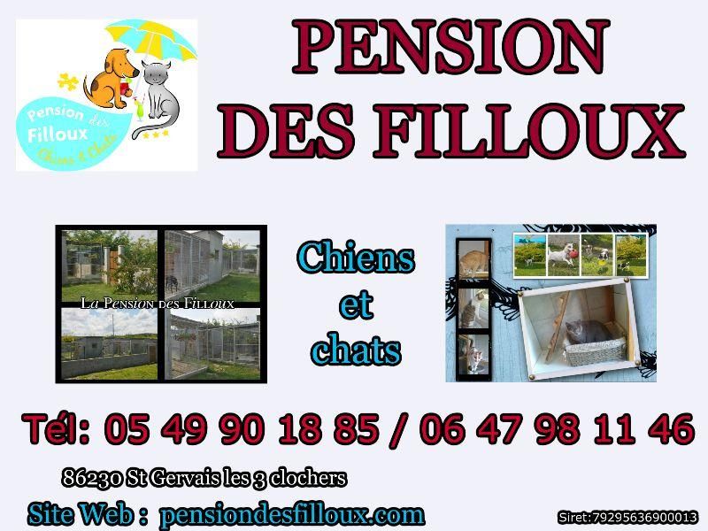 Pension Des Filloux — photo