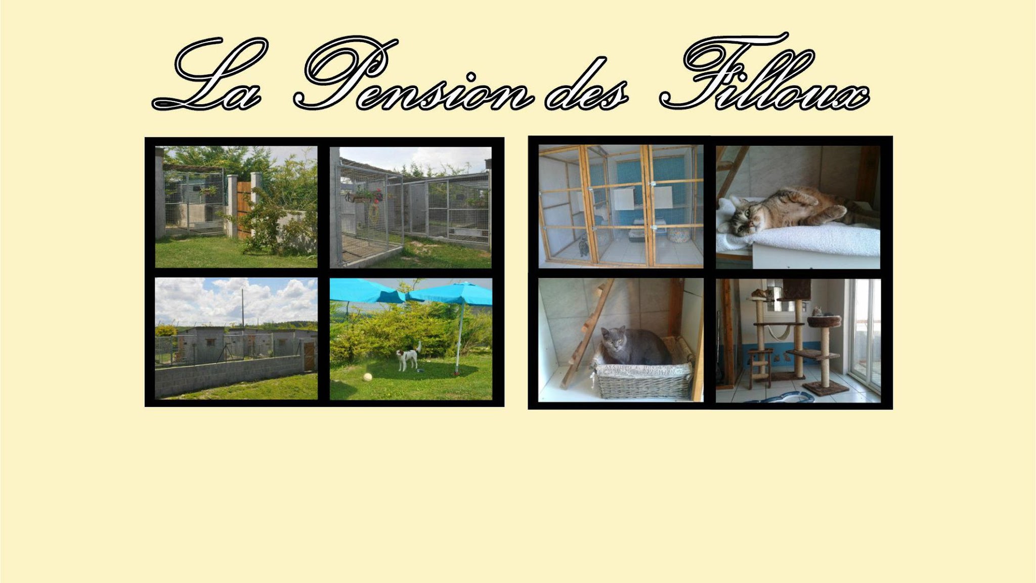 Pension Des Filloux — photo