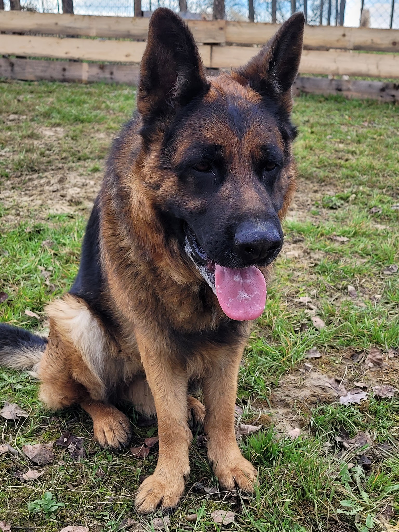 Pension Canine des Sentiers de la Douyne — photo