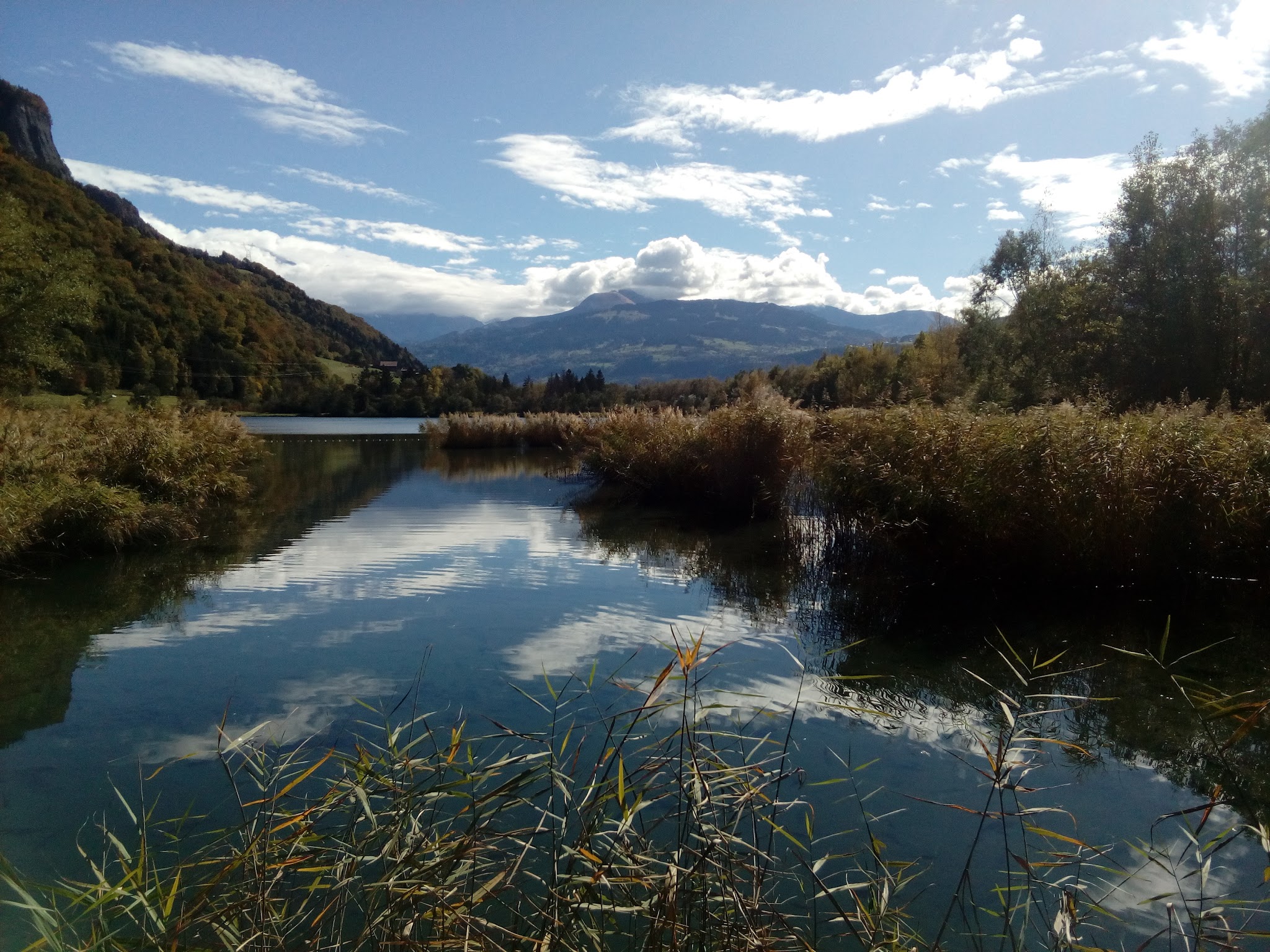 Pension Canine du Mont Blanc (Sallanches) — photo