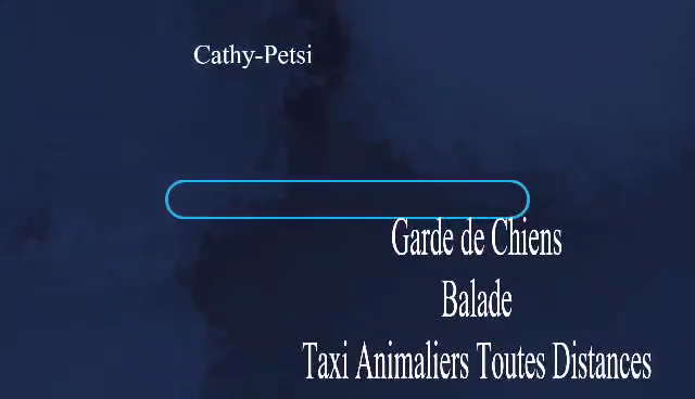 Cathy Pets -Transport Animaux & Garde — photo