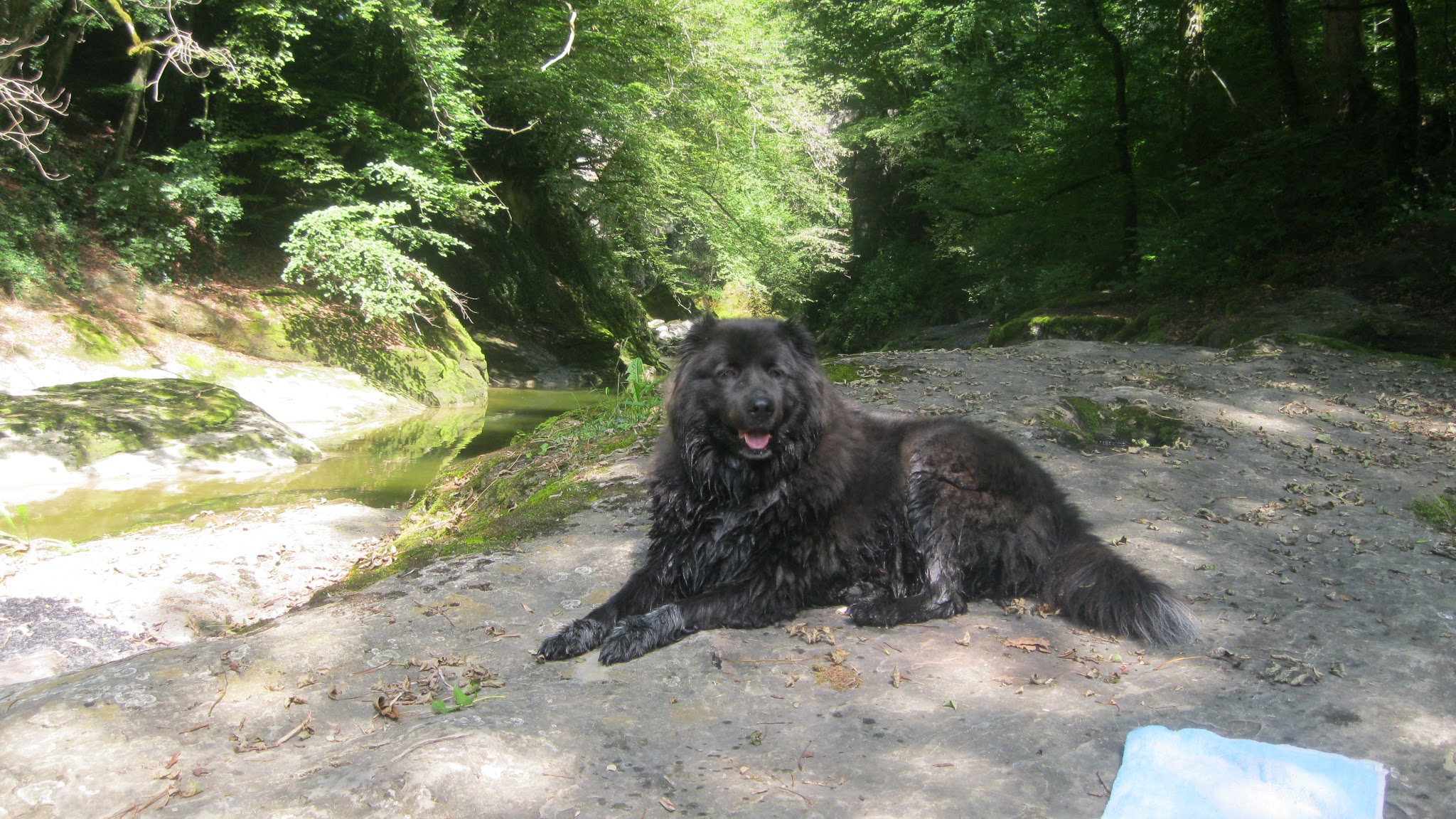 Suzette et Compagnie — photo