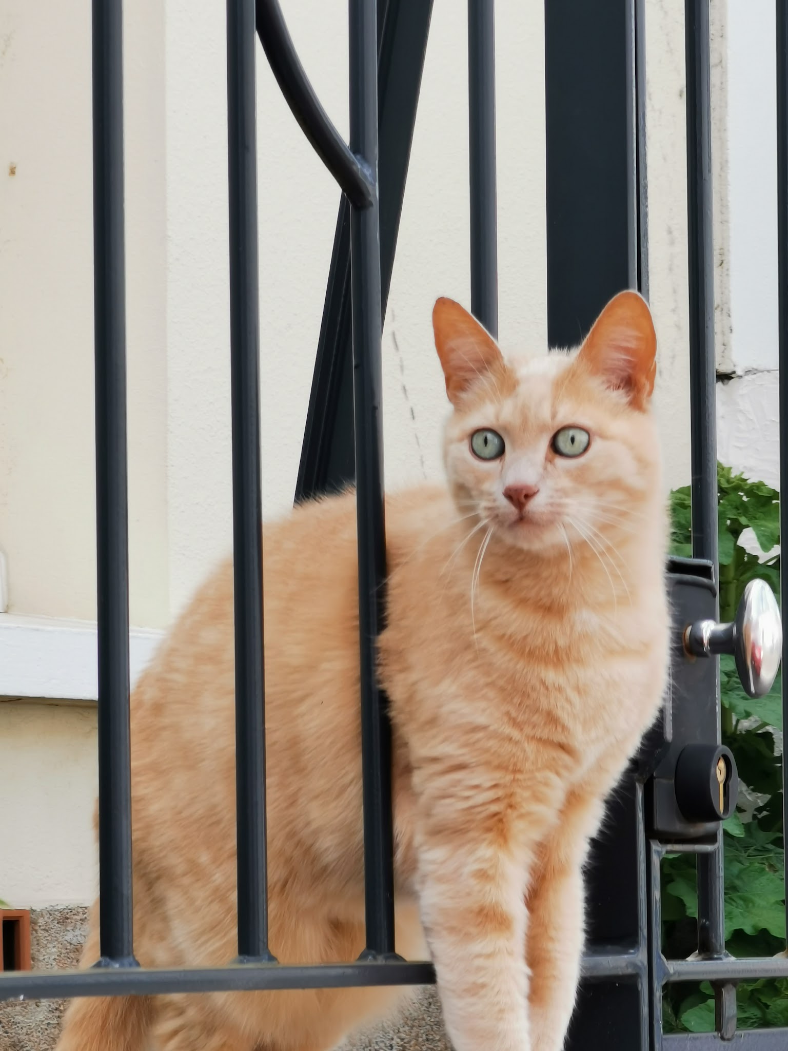 Evelyne Ménard (Les Petites Bouilles) — photo