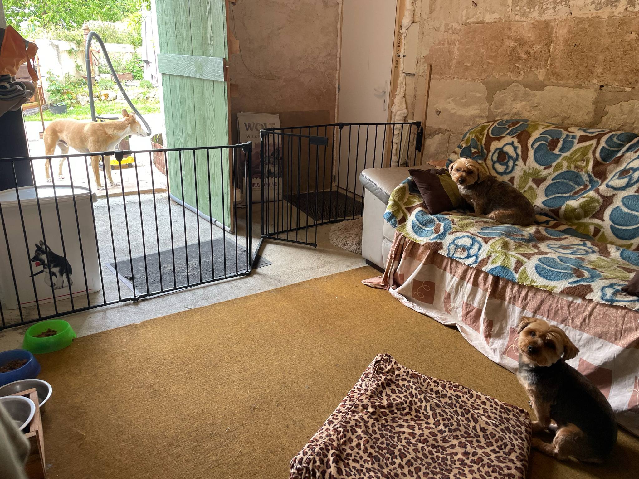 Anim'Auberge 41 - pension familiale chien — photo