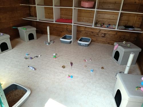 Les chalets des elfes — photo