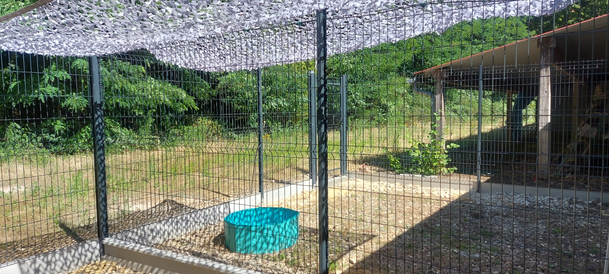 La Pension de Wouf — photo