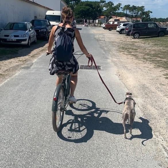 Hélène Éducation Canine — photo