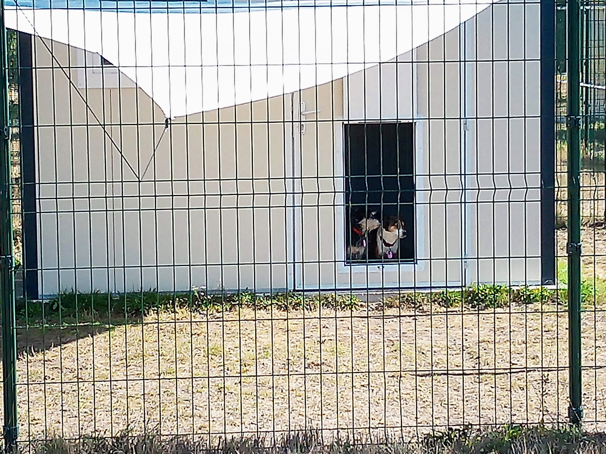 Les chalets des 4 pattes — photo