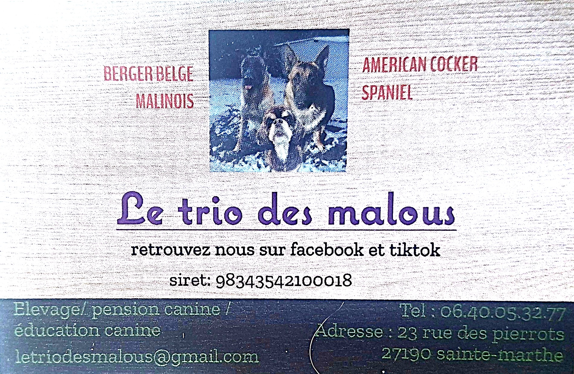 Le Trio Des Malous — photo