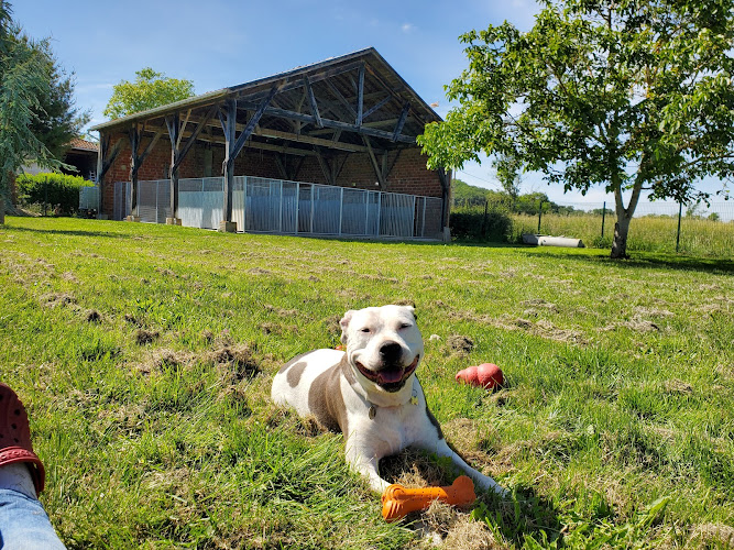 Pension canine La Goulotte