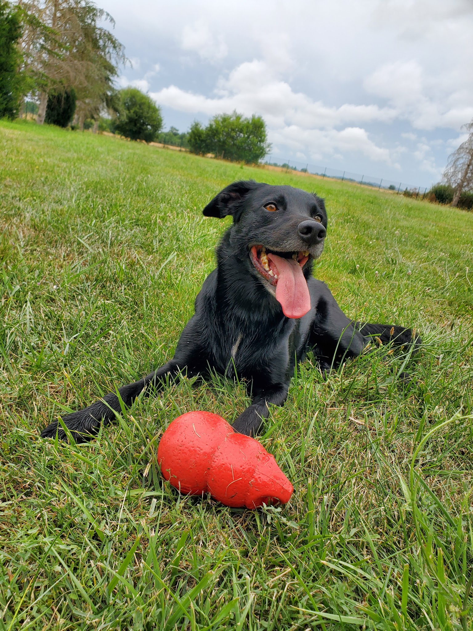 Pension canine La Goulotte — photo