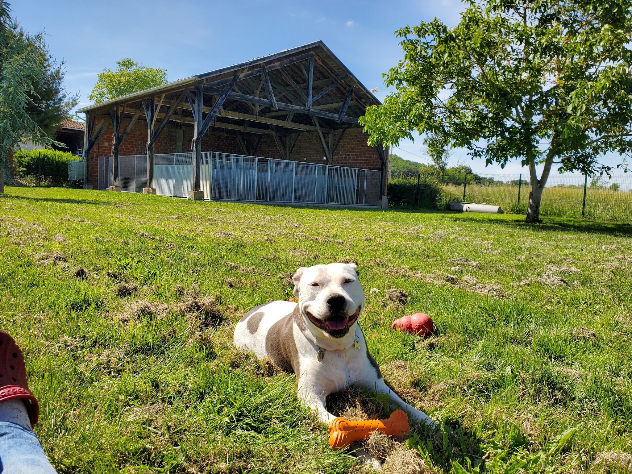 Pension canine La Goulotte — photo