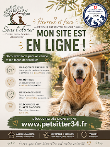 Sous l'olivier Petsitter Lansargues
