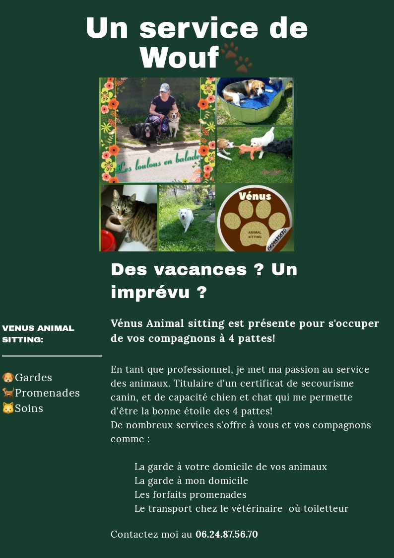 Vénus Animal sitting — photo