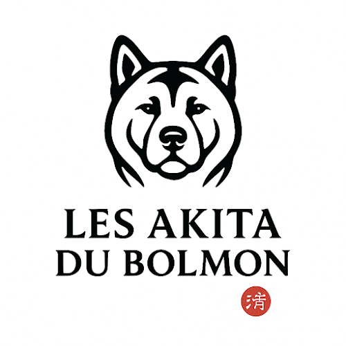 Les Akita du Bolmon