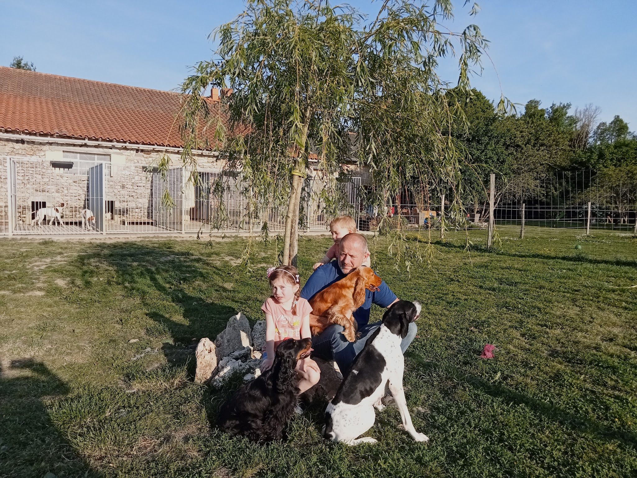 Pension canine Les Guerriers du Vent