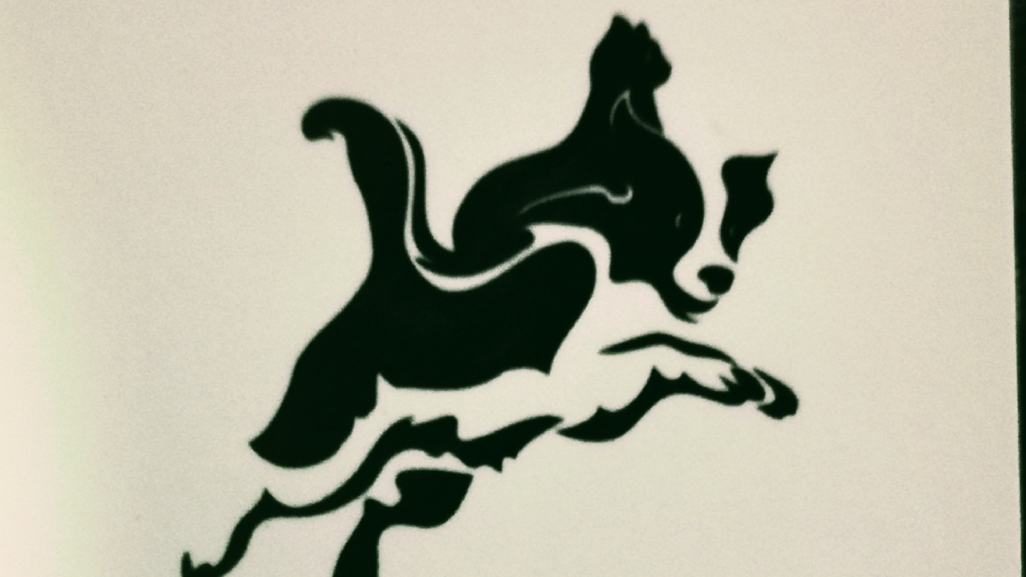 DOG TROTTEUR — photo