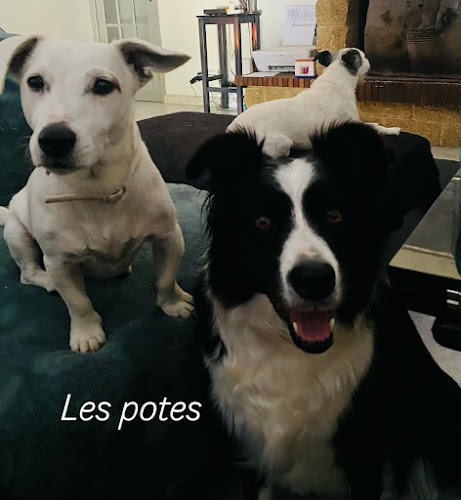 Marie et ses poilus
