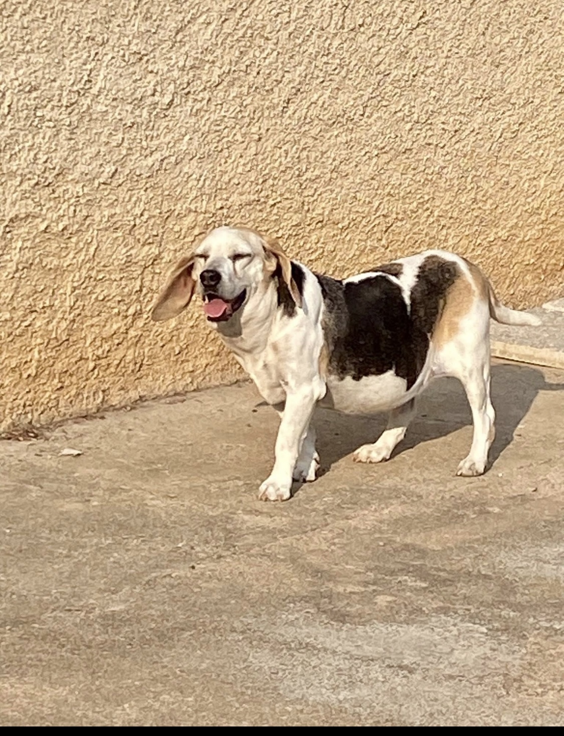 Marie et ses poilus — photo
