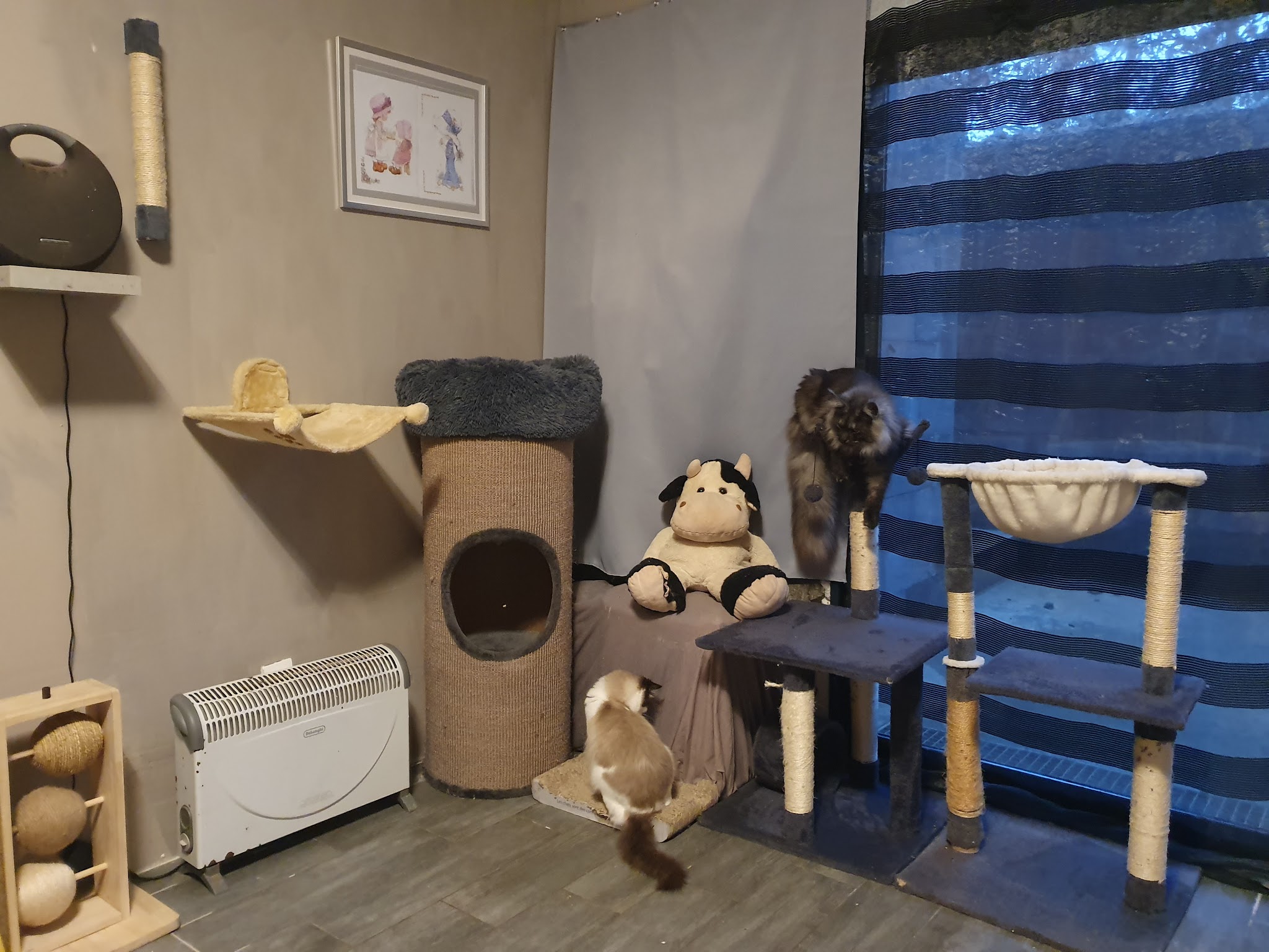 Pension au Paradis de Lemyana — photo