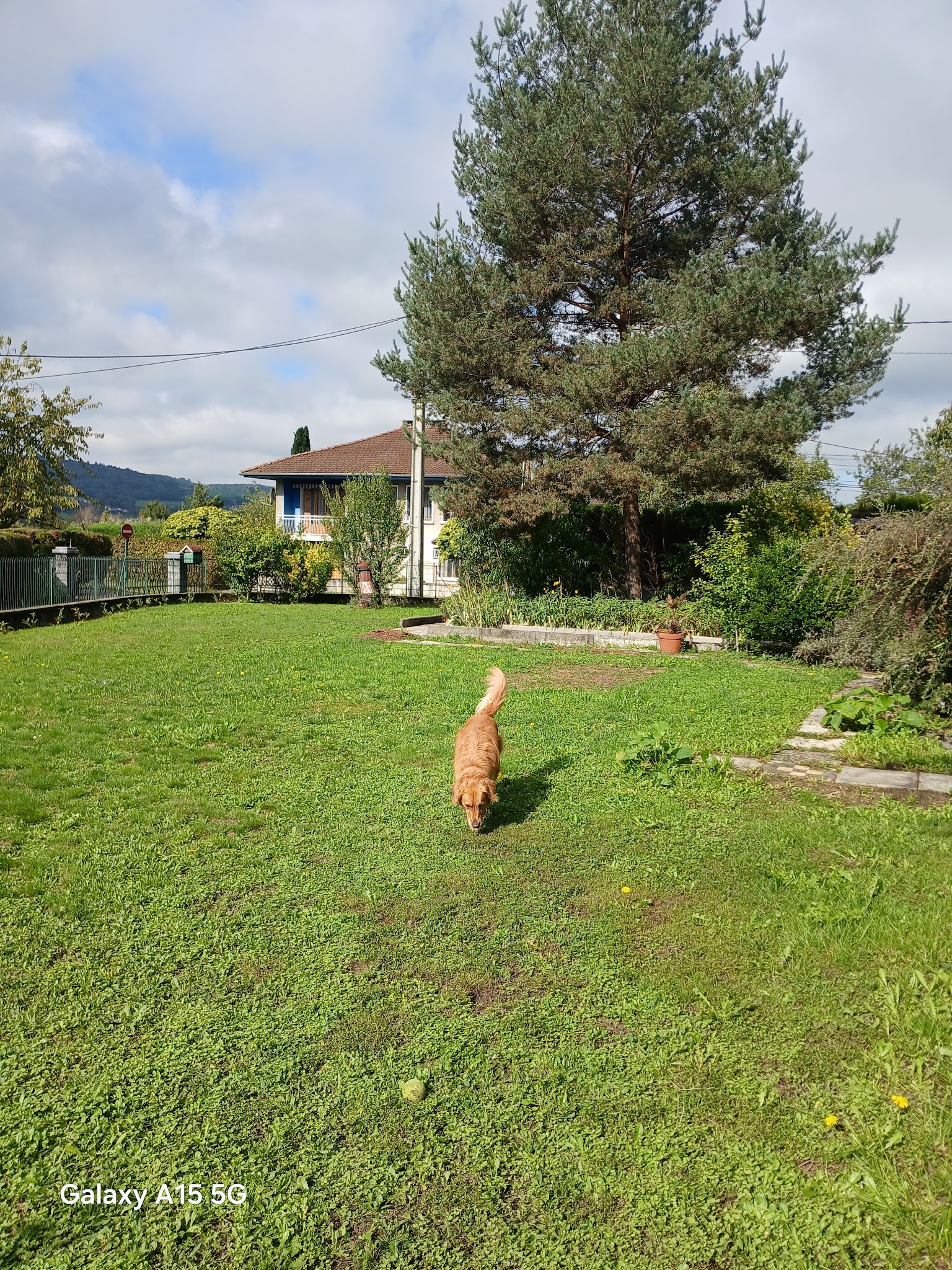 Annecy pet-sitting family by Elodie — photo