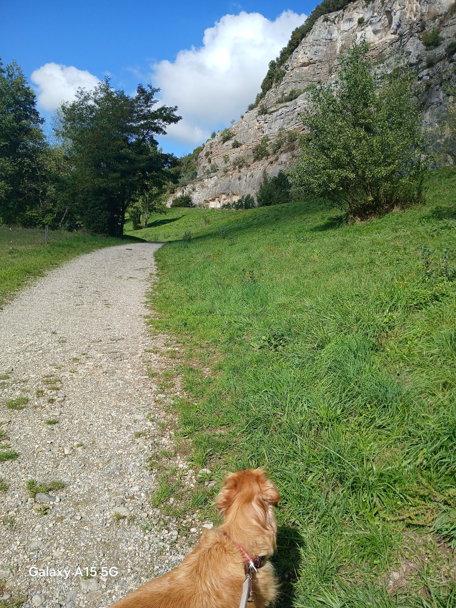 Annecy pet-sitting family by Elodie — photo