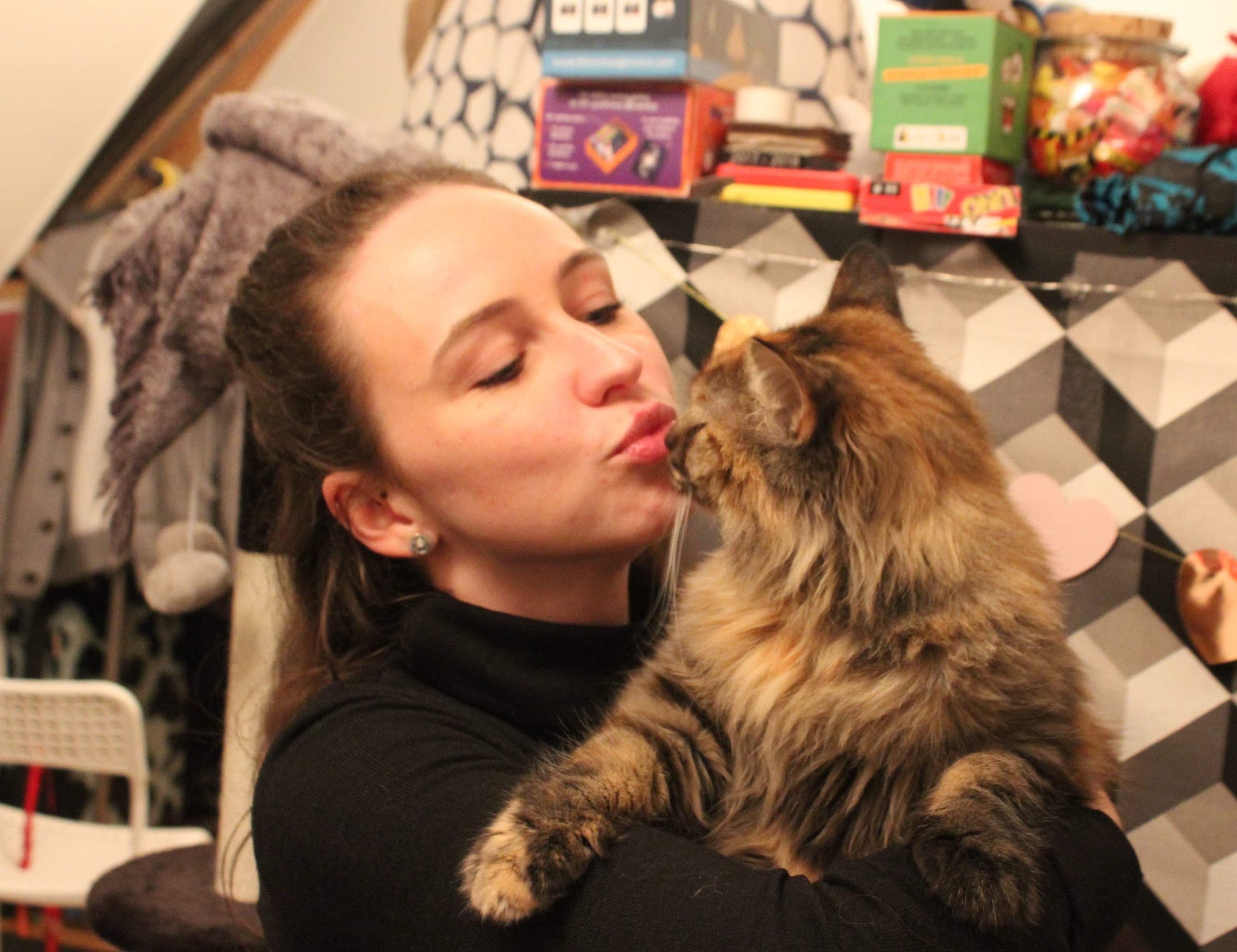 Lise & Cie | Pet sitter | Garde de chat, chien & NAC — photo