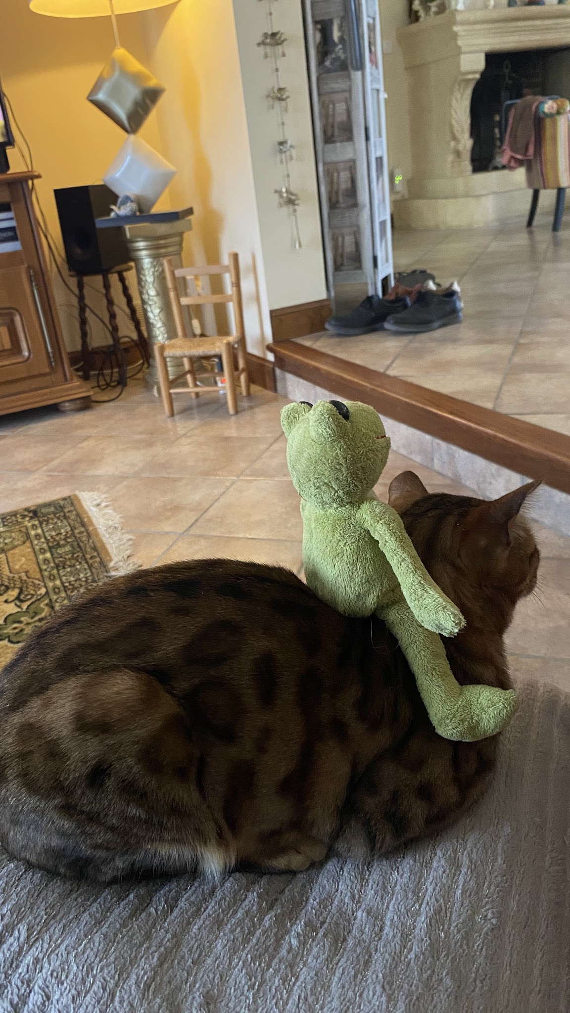 Le Pouget - Pension/Boarding House pour Chiens et Chats — photo