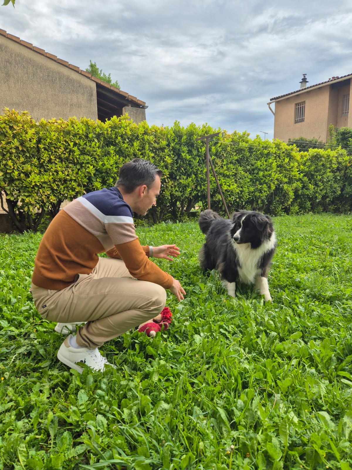 Pet Holiday 74 (Visite chat et balade chien Cruseilles et Annecy)