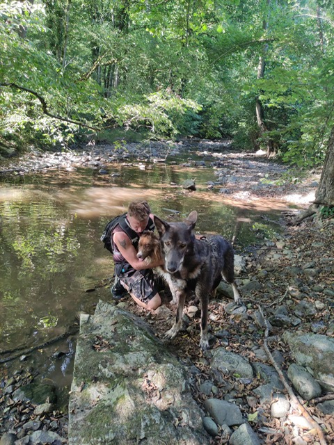DB DOGS - Education canine et pension en meute — photo