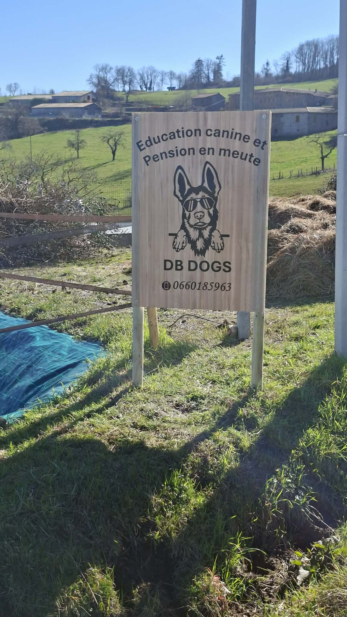 DB DOGS - Education canine et pension en meute — photo