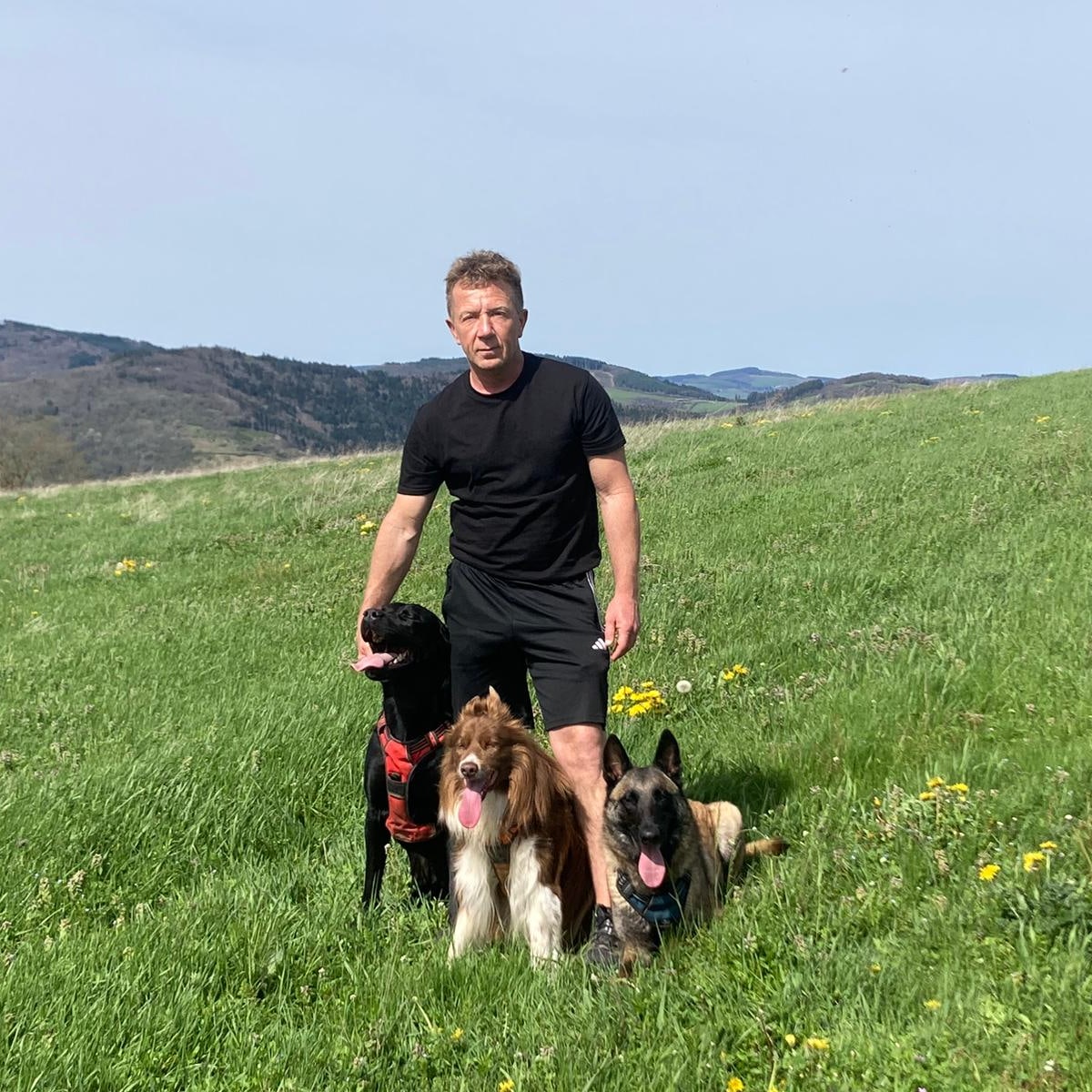DB DOGS - Education canine et pension en meute