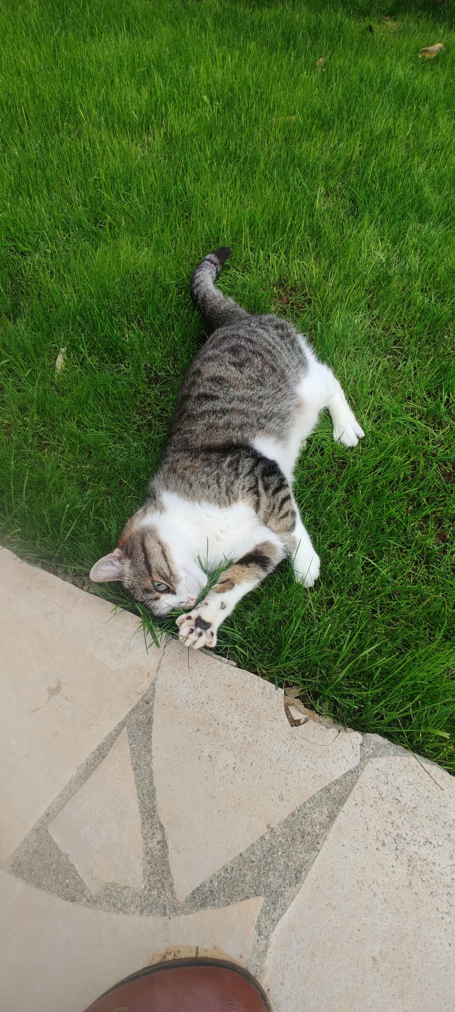 Compagnons à domicile — photo