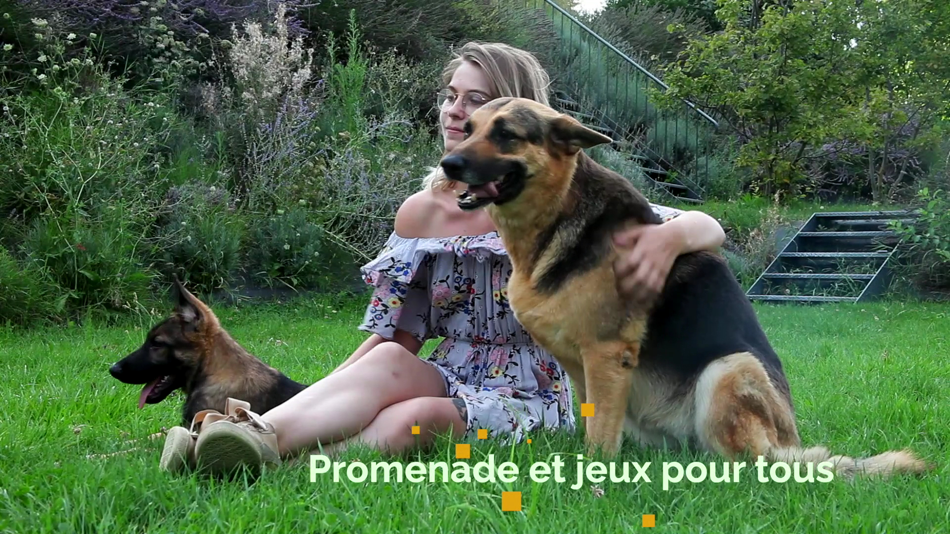 Les Animaux des Dômes — photo