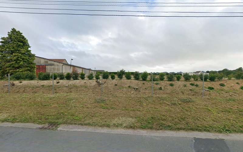 L'évasion canine centre aéré pour chien