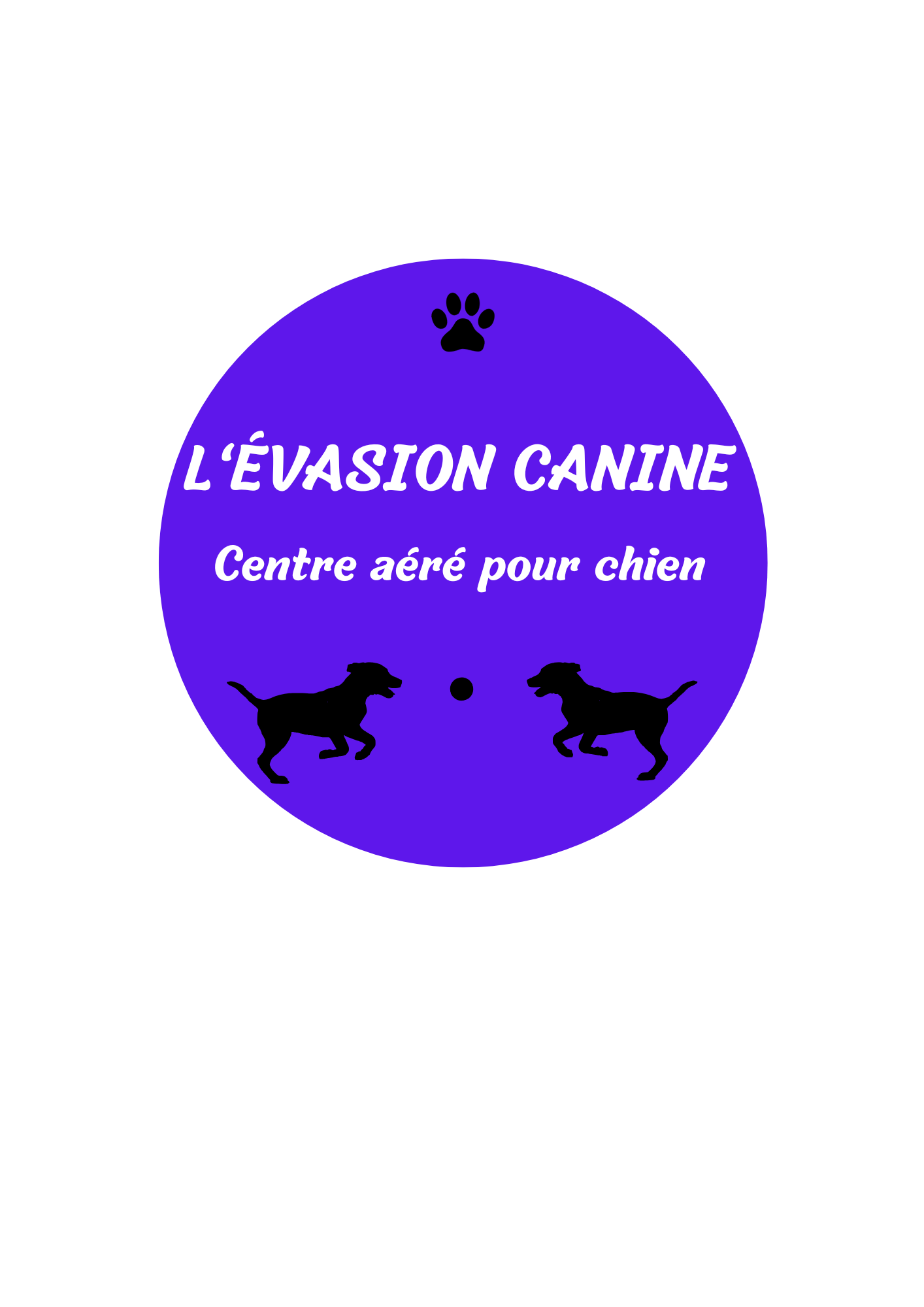 L'évasion canine centre aéré pour chien — photo