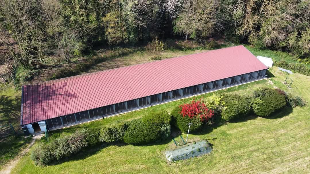 Pension de Chien L'Arche de Noël Lestic — photo
