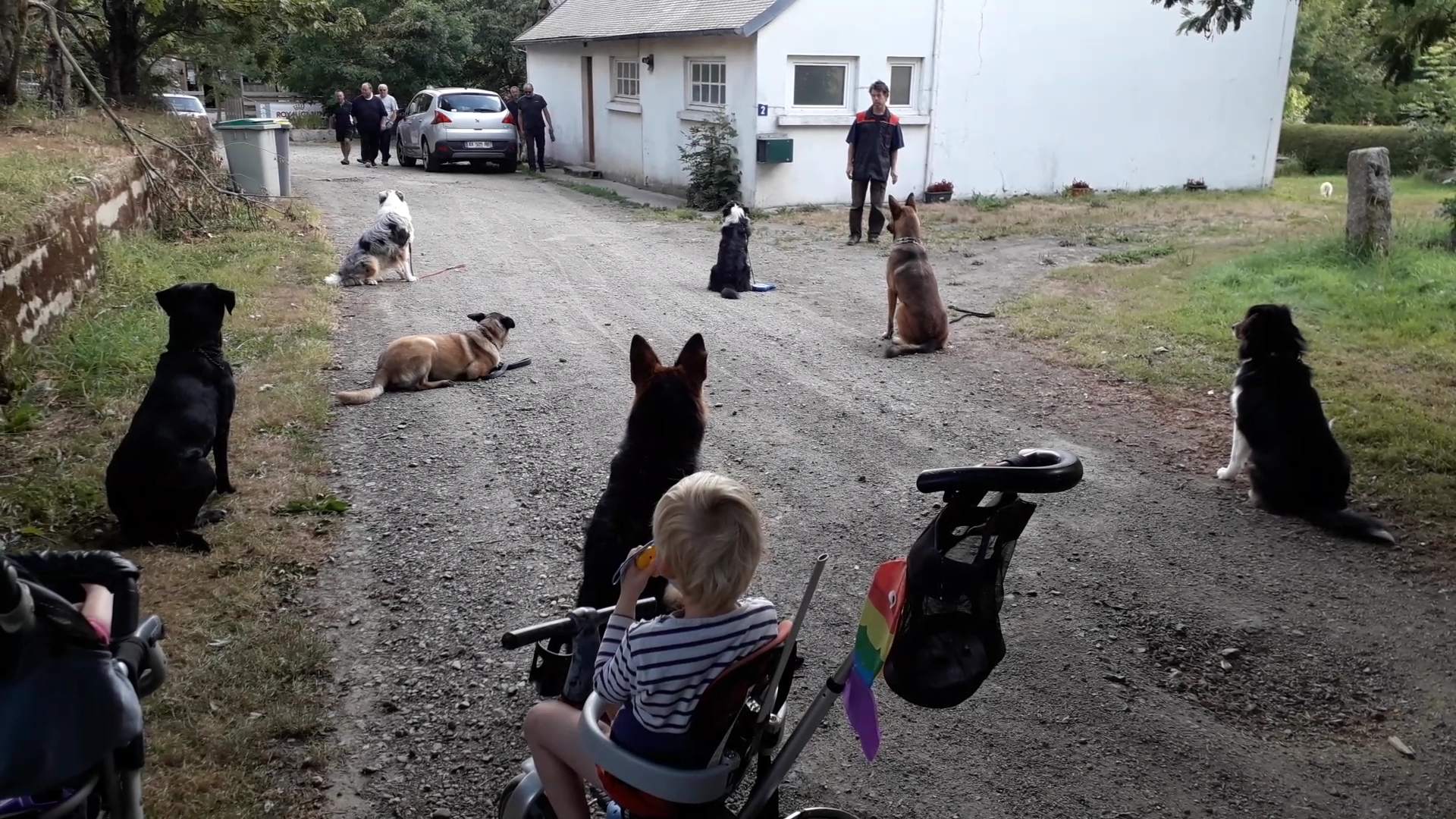 Pension de Chien L'Arche de Noël Lestic — photo