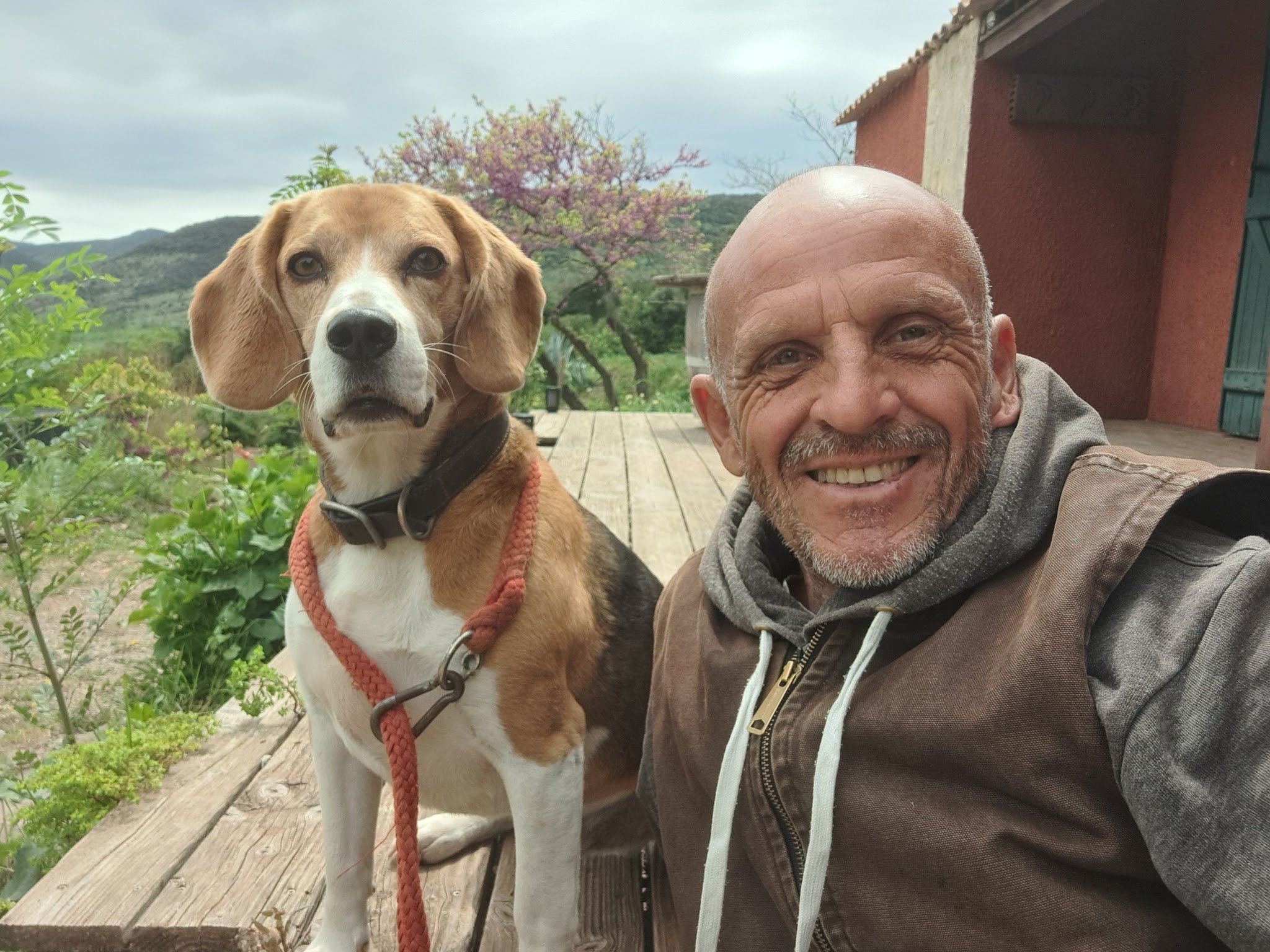 Educanin34 - Pension et Education canine — photo