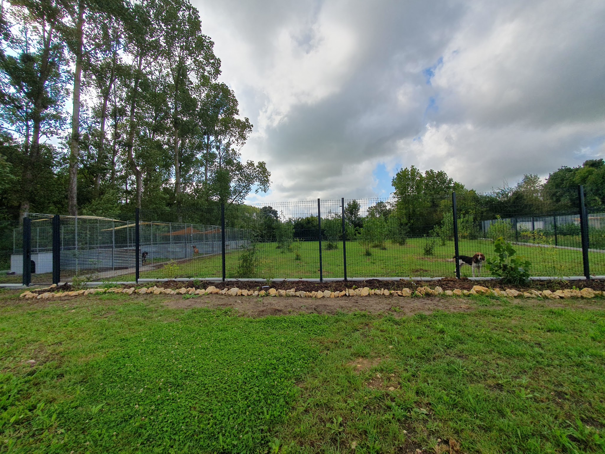 Phoenix Garden (Pension canine) UNIQUEMENT SUR RDV — photo
