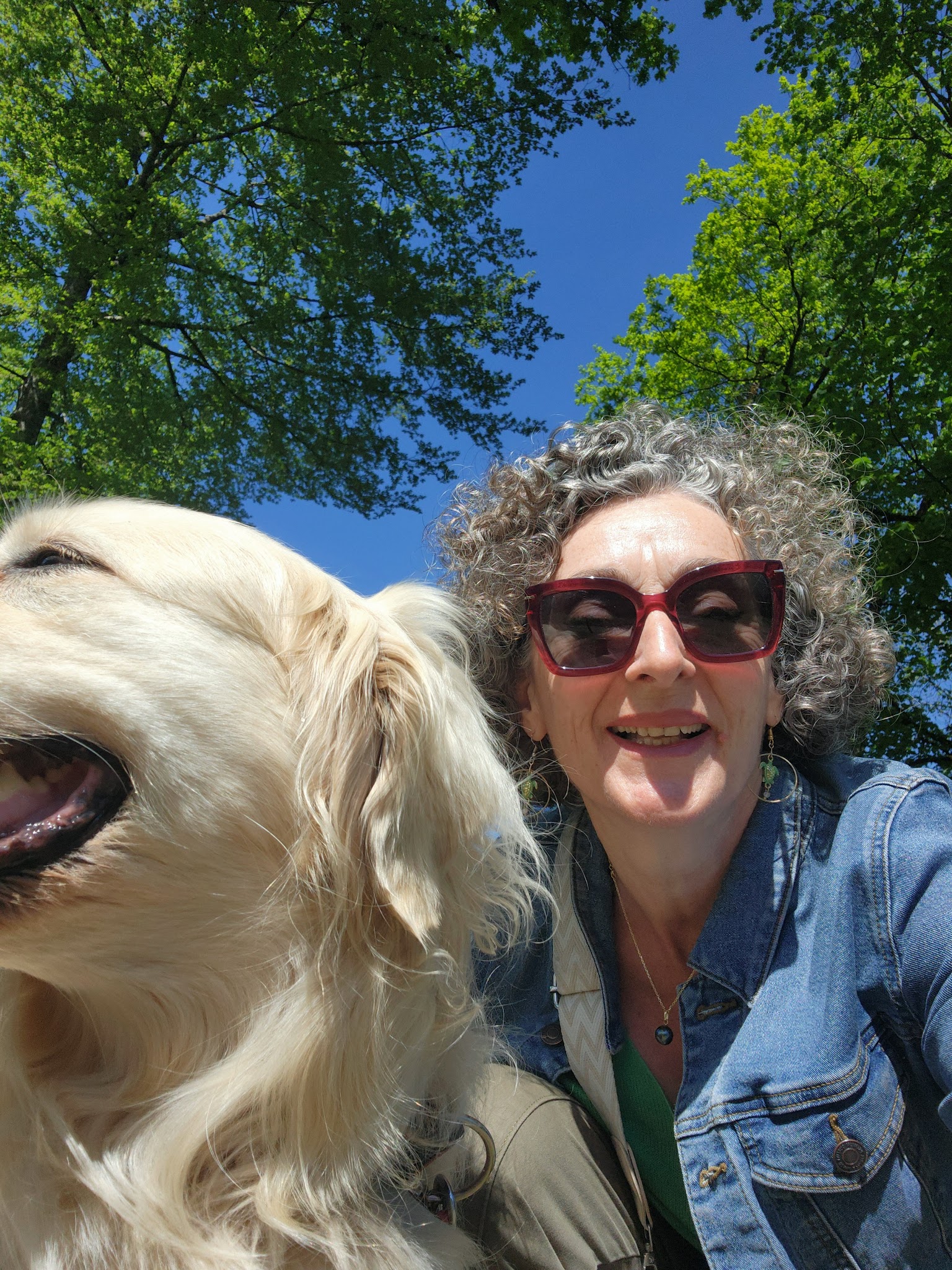 Eden Pattes 74 — photo