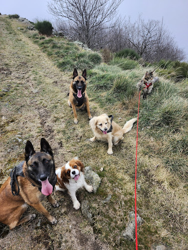 Pension canine espace canin ardechois