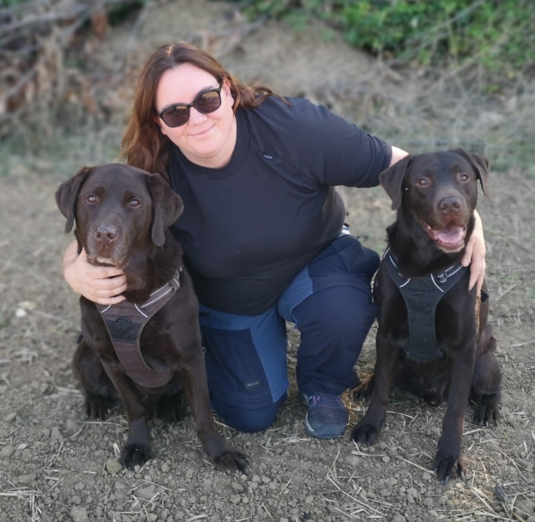Happy dogs 91 — photo