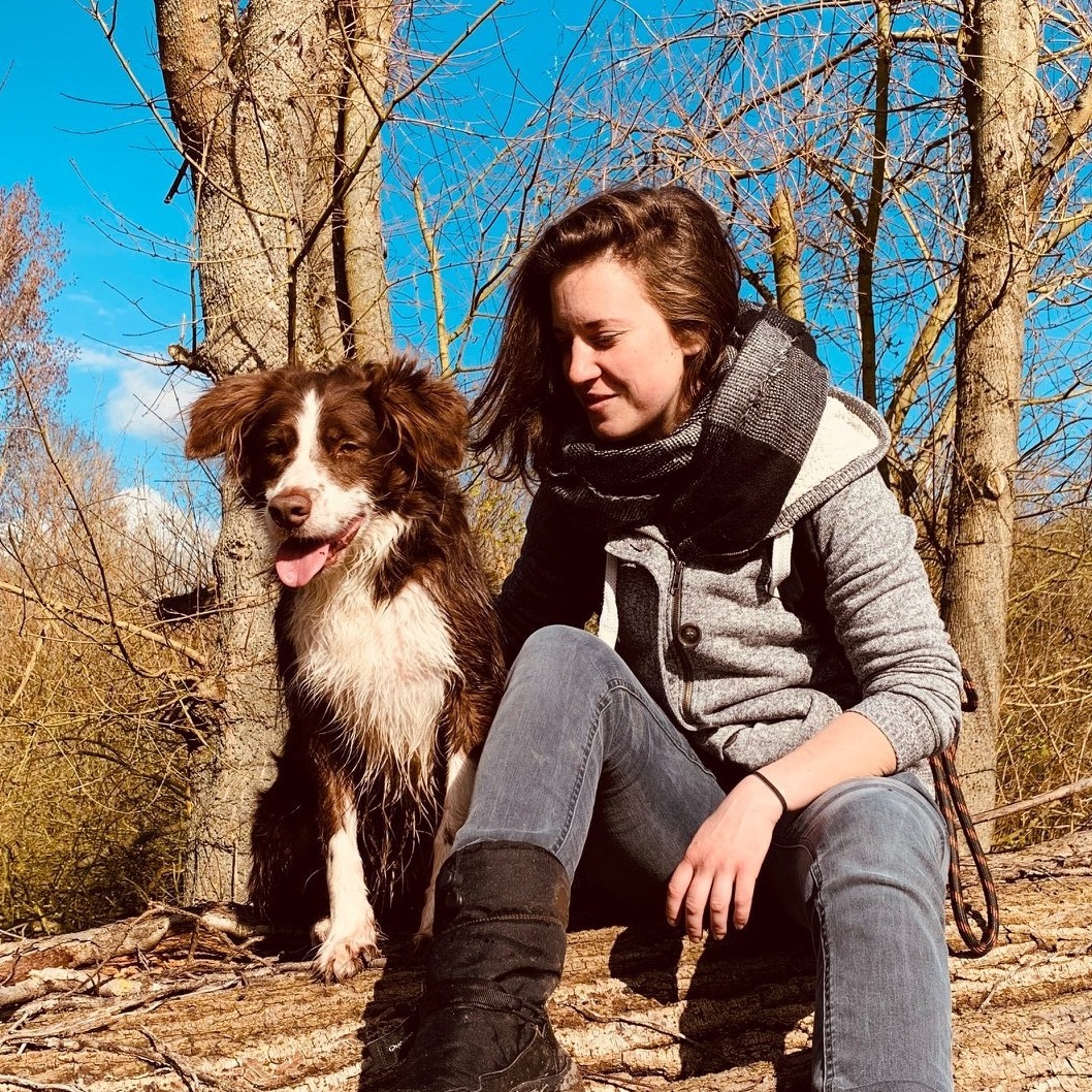 Patt'panique — photo