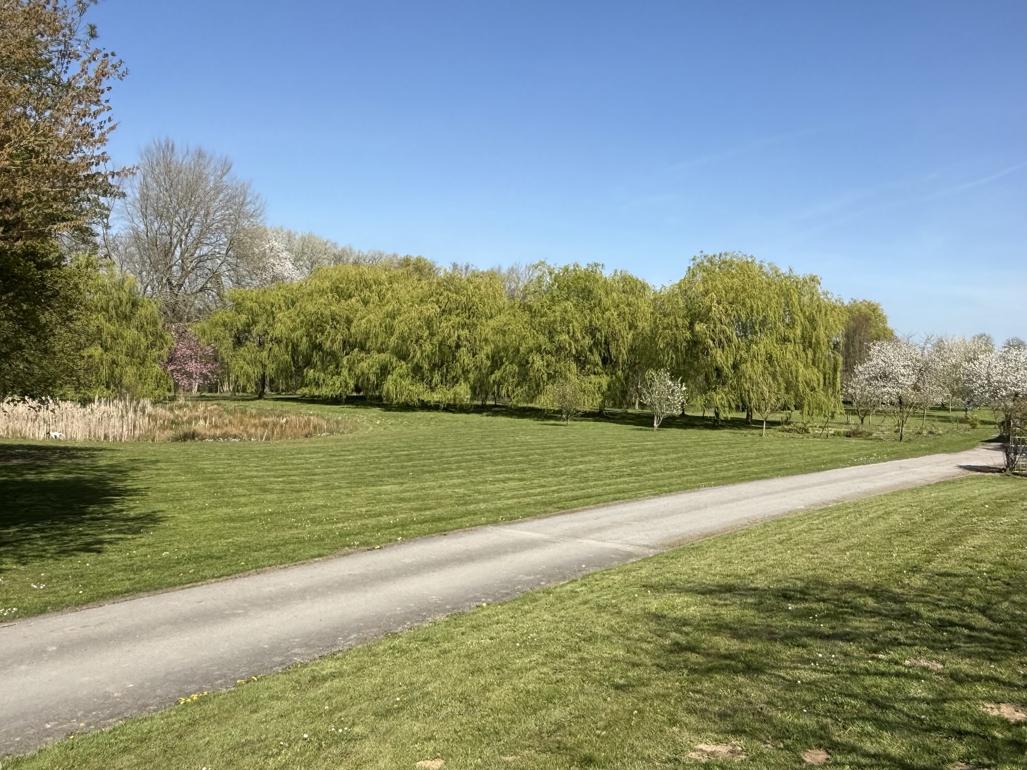 Domaine de Carency - Pension Canine Arras & Lens — photo